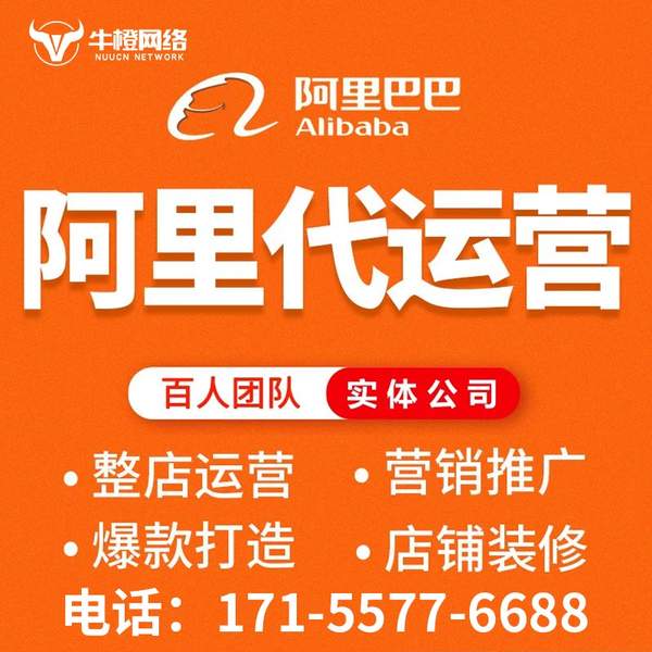 西昌电商代运营