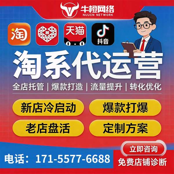 西昌电商代运营