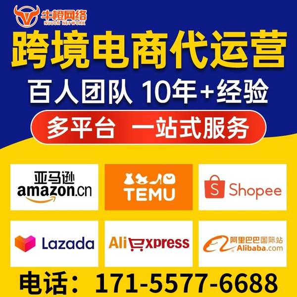 西昌电商代运营