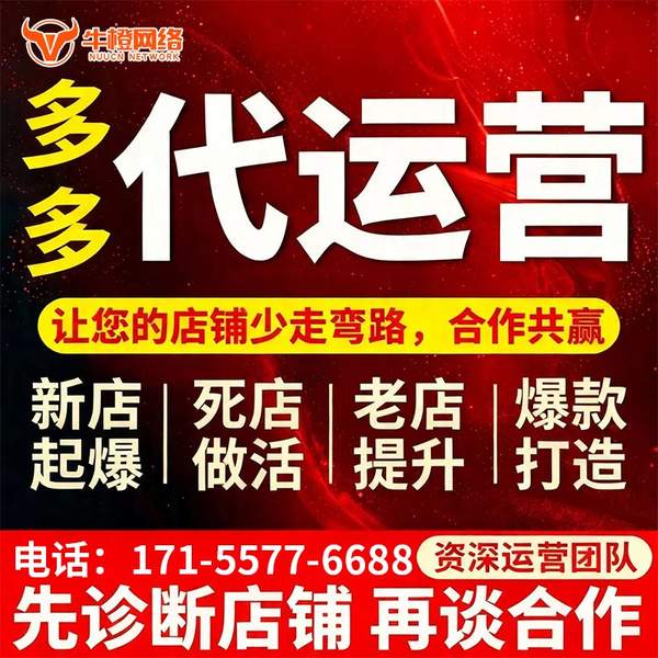 西昌电商代运营