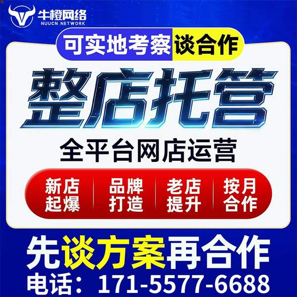 西昌电商代运营