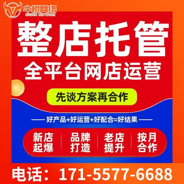 西昌电商代运营
