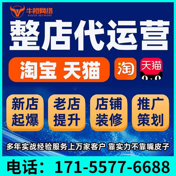 西昌电商代运营