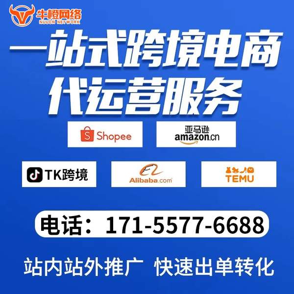西昌电商代运营