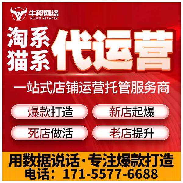 西昌电商代运营